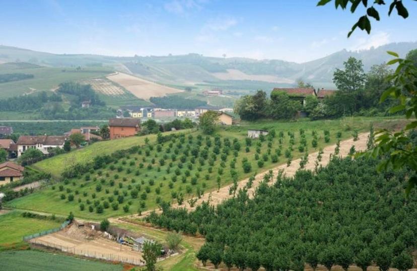 La Casa Rosa Apartman Piobesi d'Alba Kültér fotó