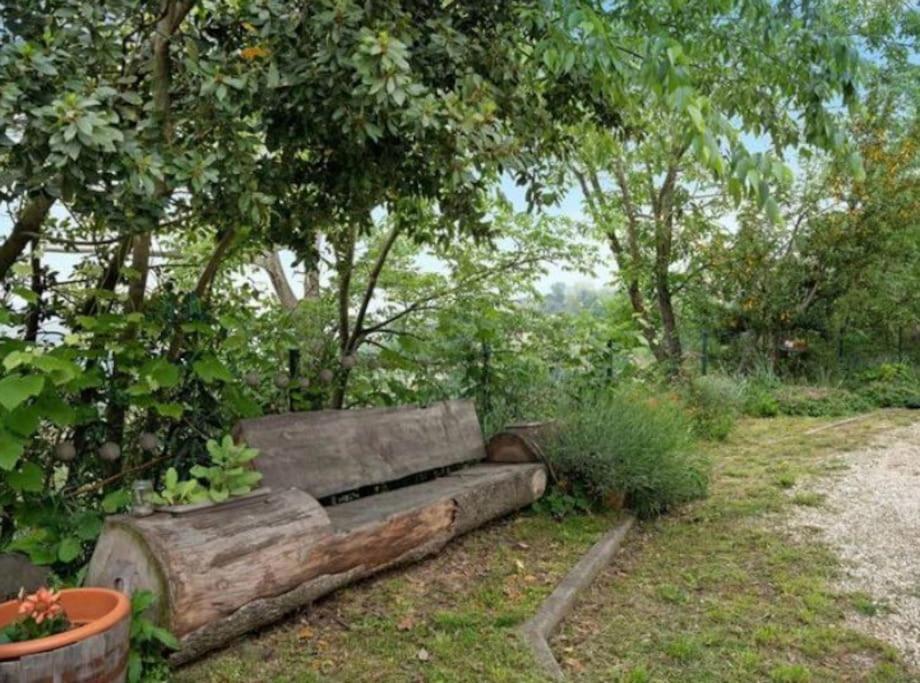 La Casa Rosa Apartman Piobesi d'Alba Kültér fotó